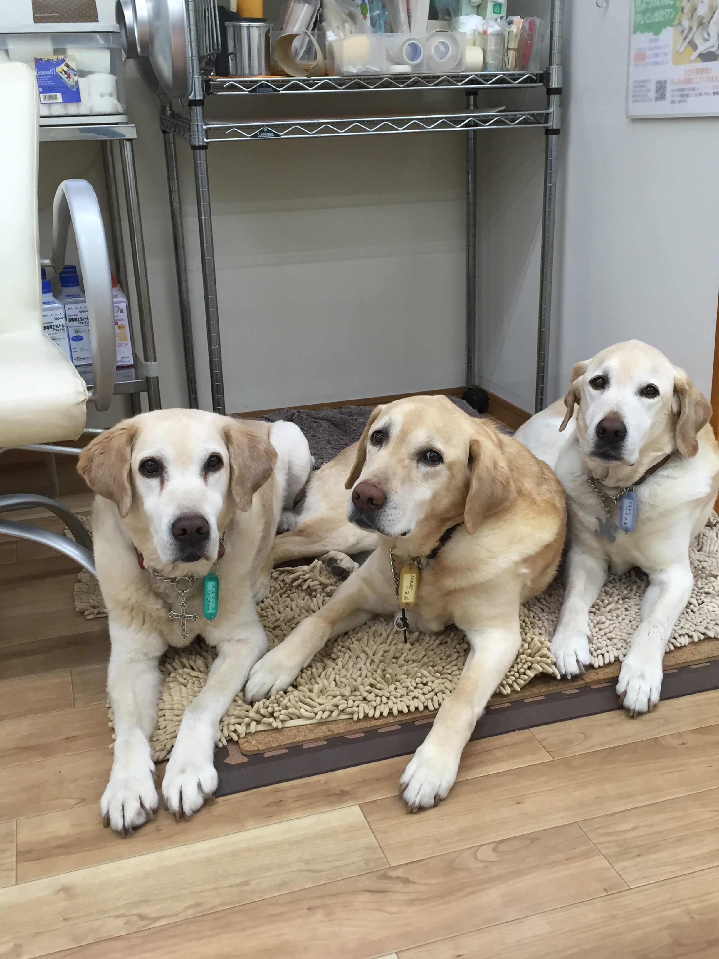 右からオットー、ジミー、オルフィス